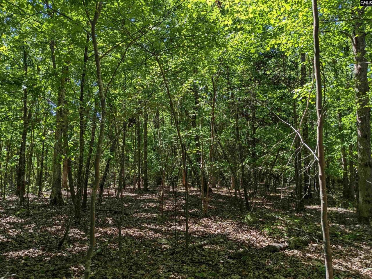 0 Minger Road Photo 20