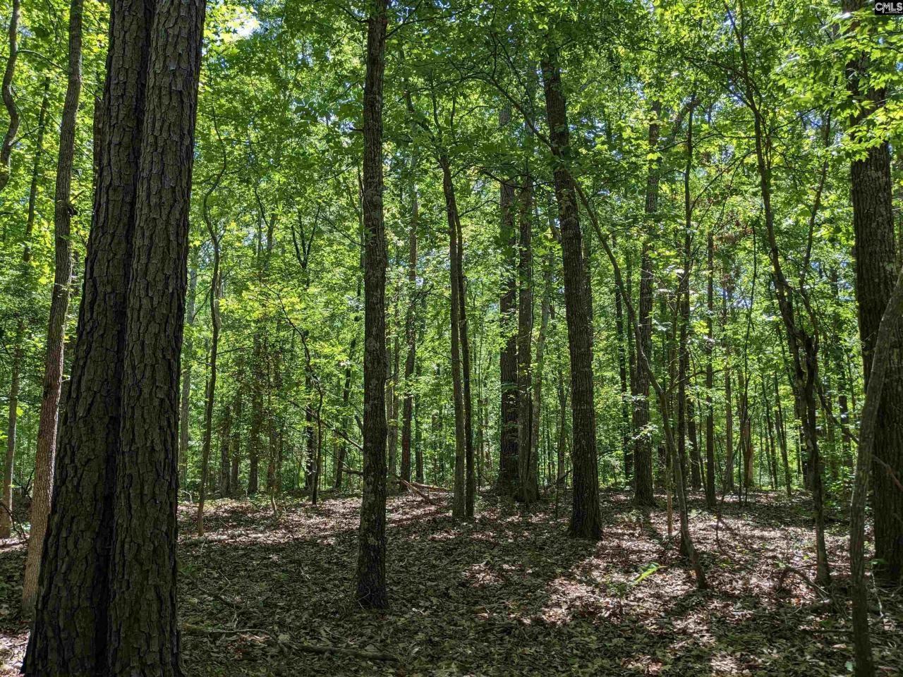 0 Minger Road Photo 21