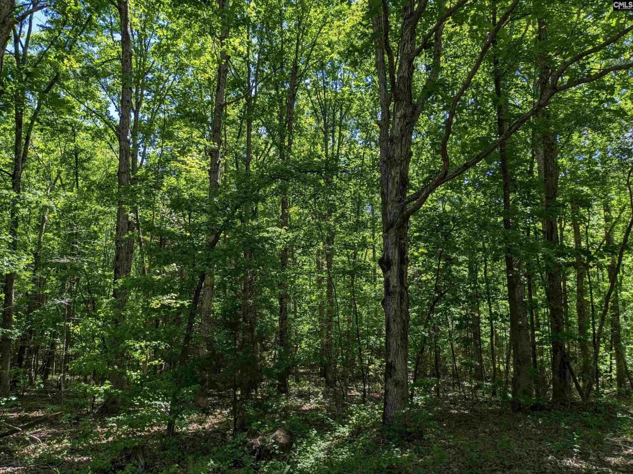 0 Minger Road Photo 22