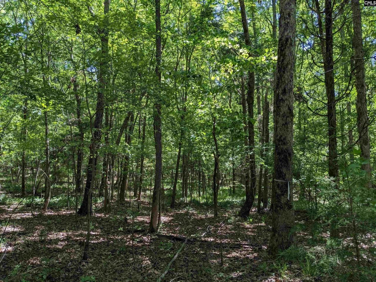 0 Minger Road Photo 23