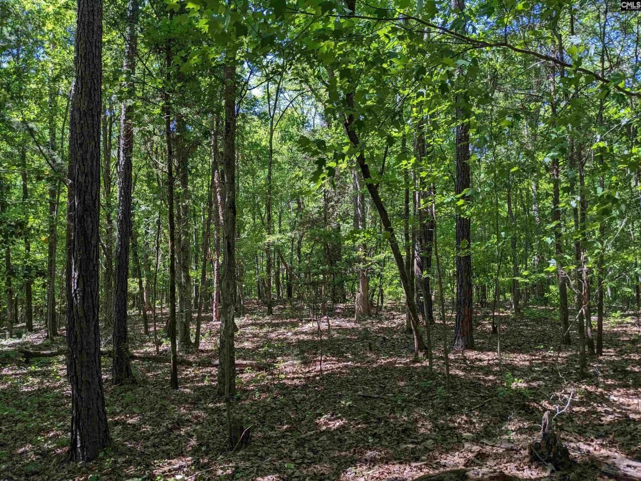 0 Minger Road Photo 24