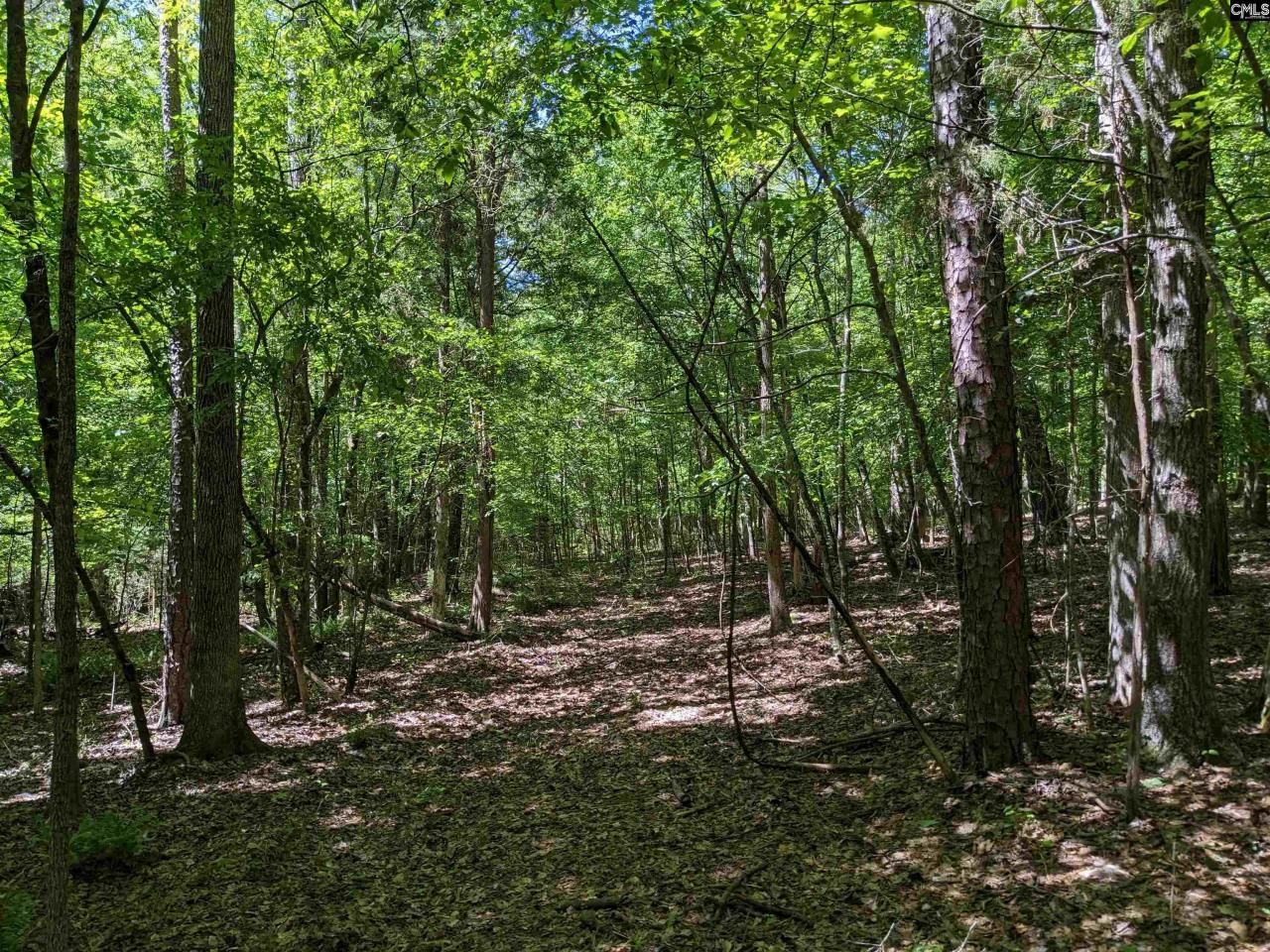 0 Minger Road Photo 25