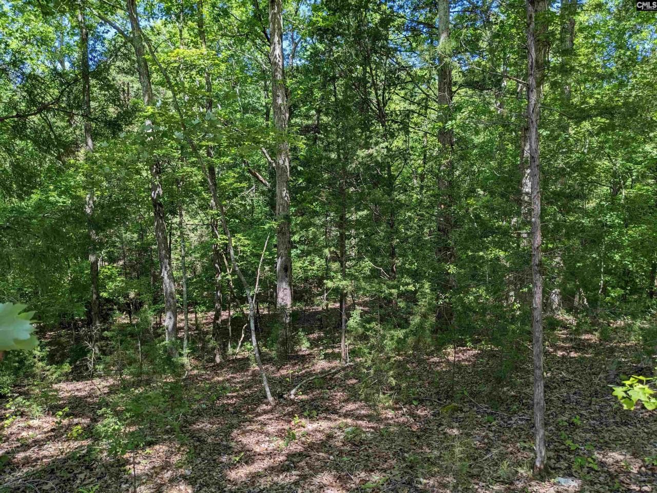 0 Minger Road Photo 28