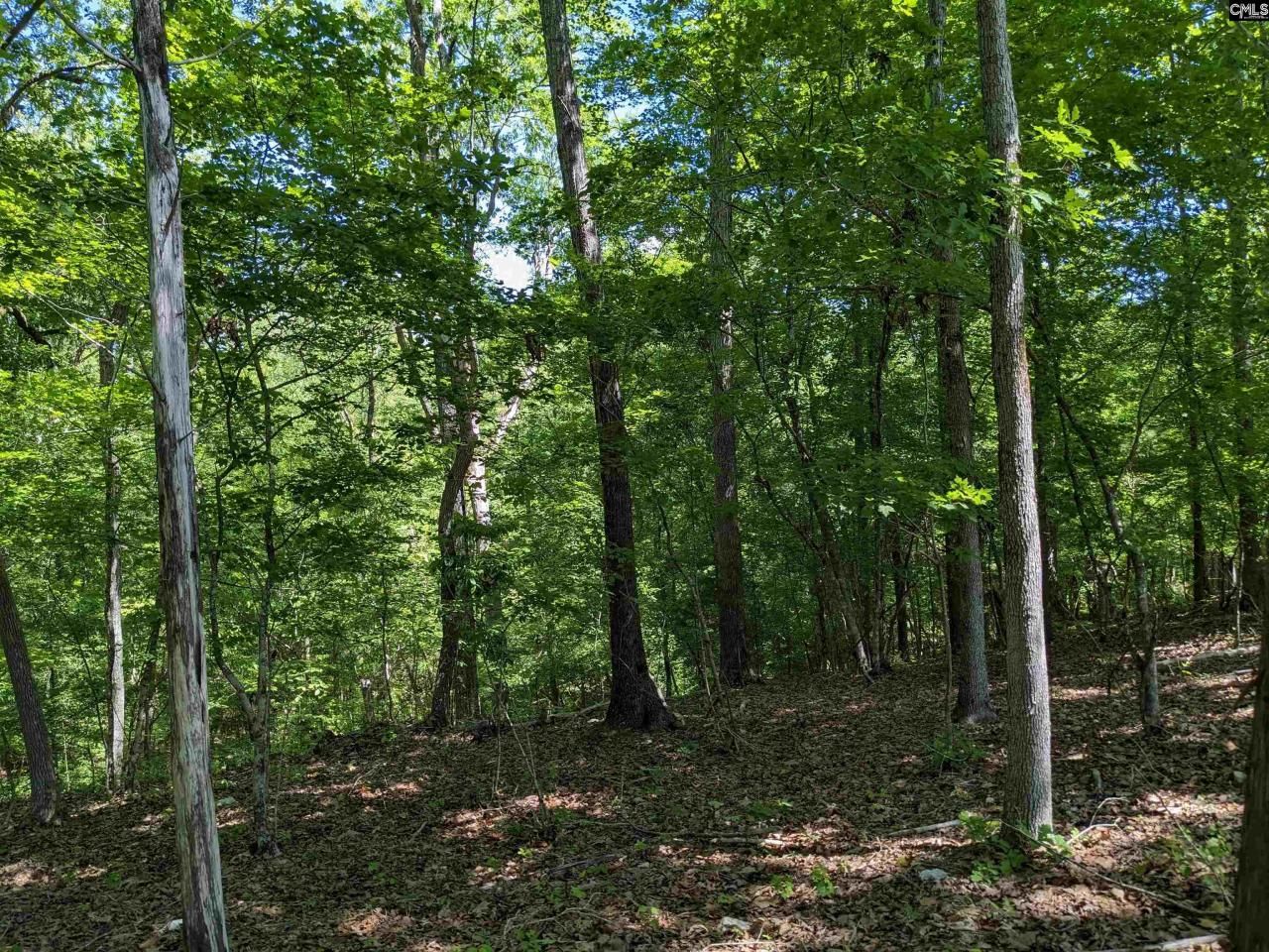 0 Minger Road Photo 29