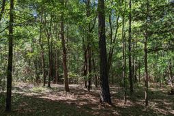 0 Minger Road photo 4