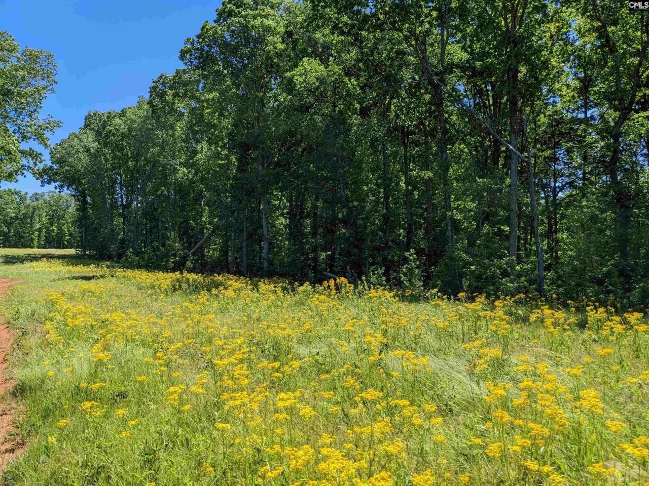 0 Minger Road Photo 30