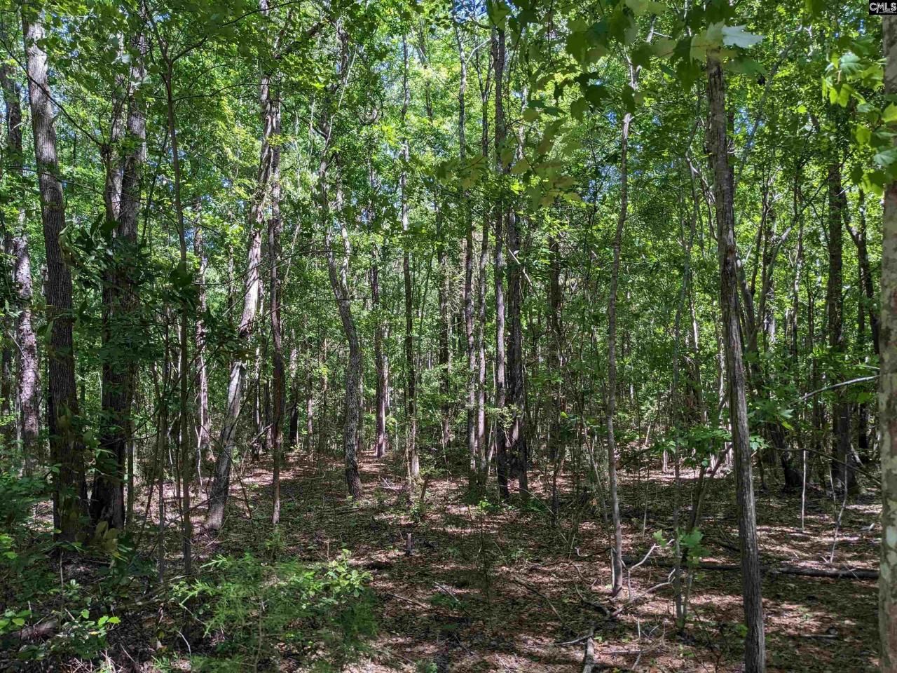 0 Minger Road Photo 4