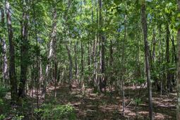 0 Minger Road photo 4