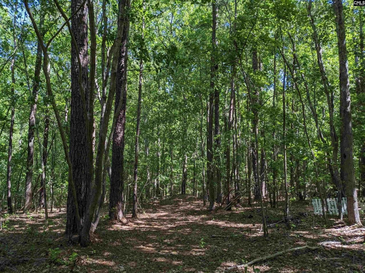 0 Minger Road Photo 5