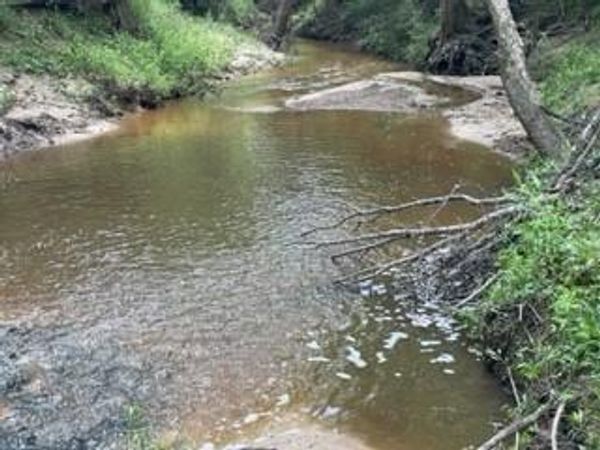 TBD 5 FM 1848, Buffalo, TX 75831