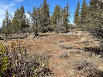 Lot 19 Nighthawk Drive Bonanza, OR 97623