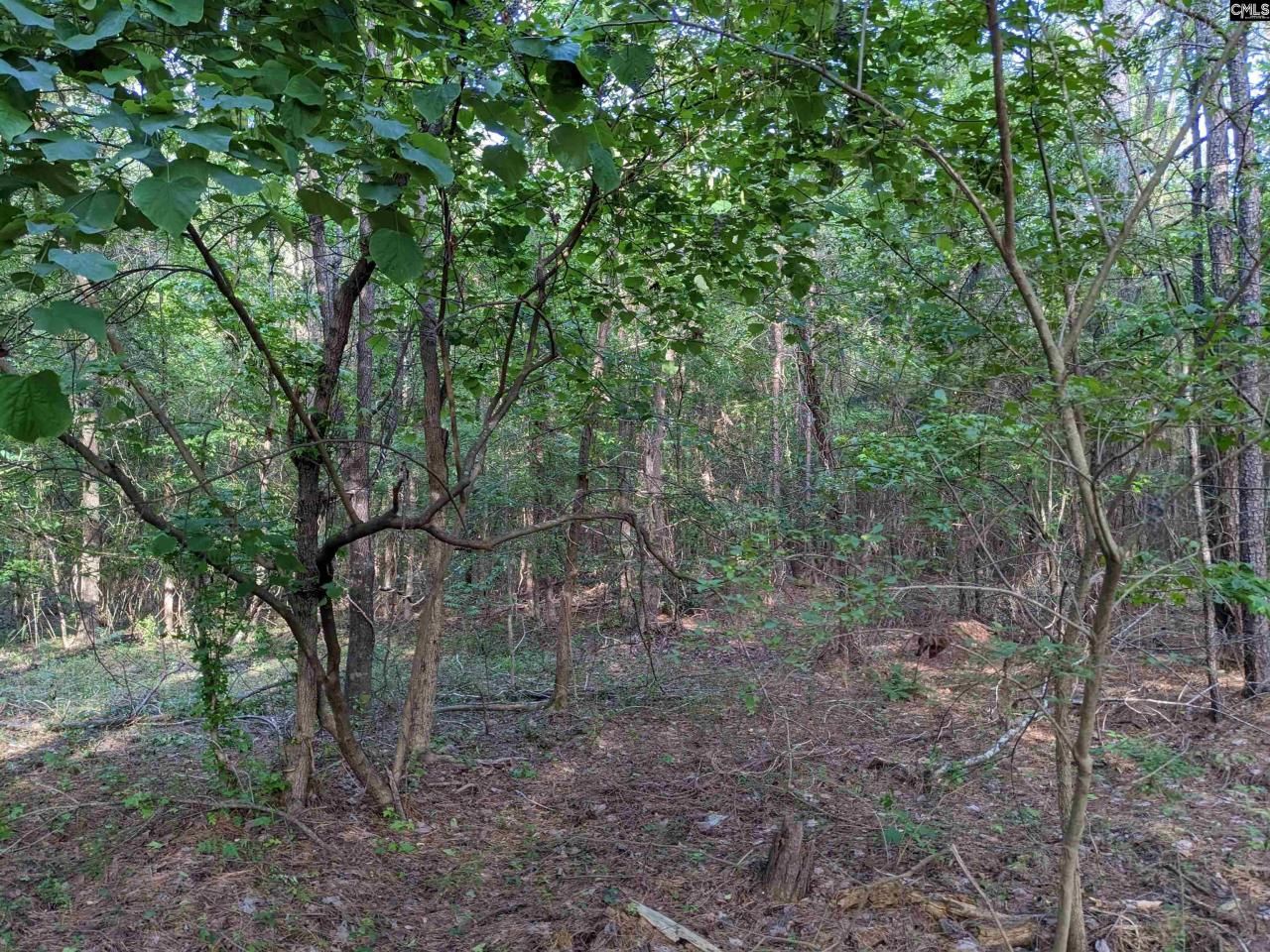 0 Highway 321 Bypass Photo 4