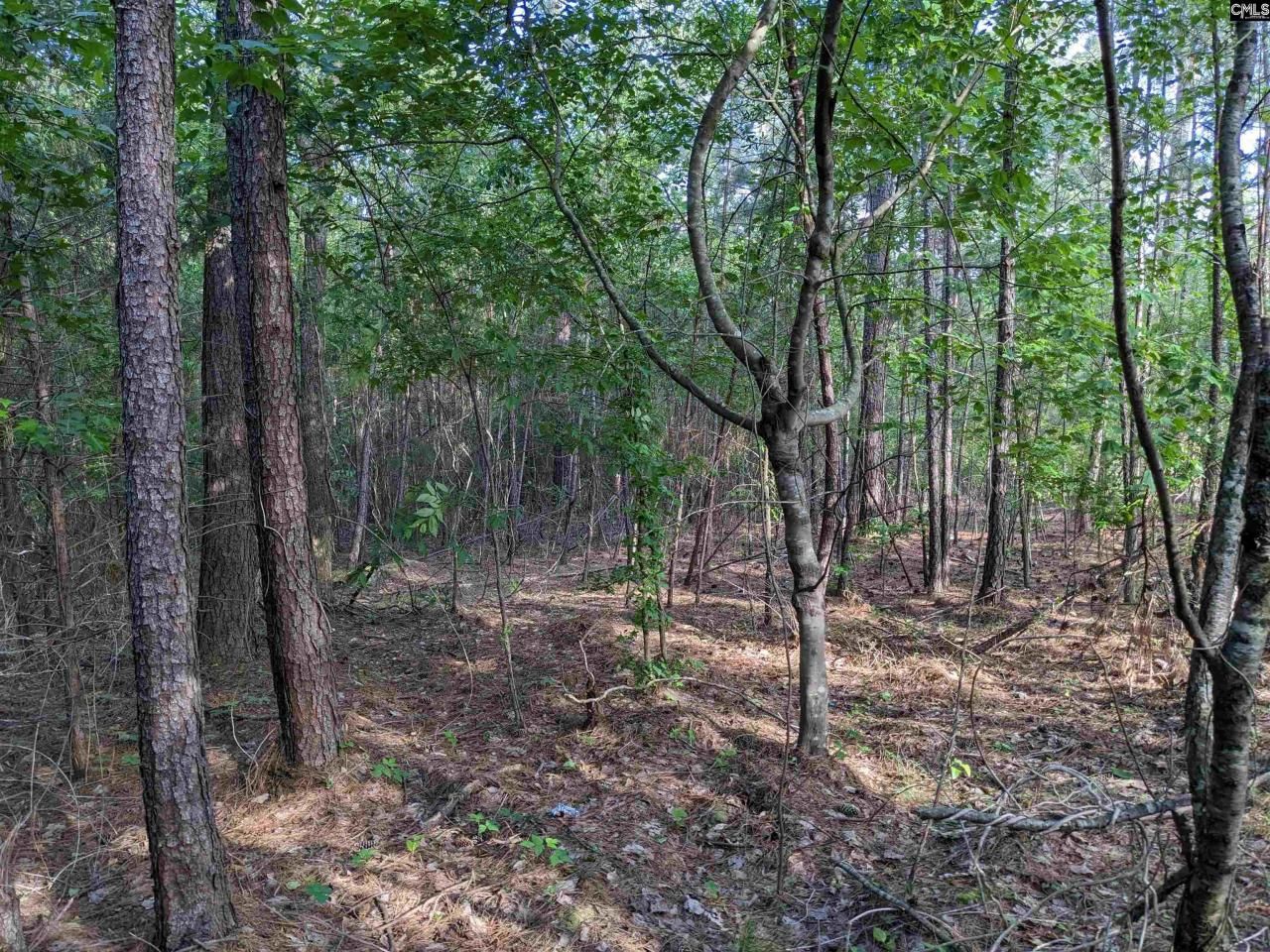 0 Highway 321 Bypass Photo 5