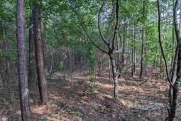 0 Highway 321 Bypass photo 4