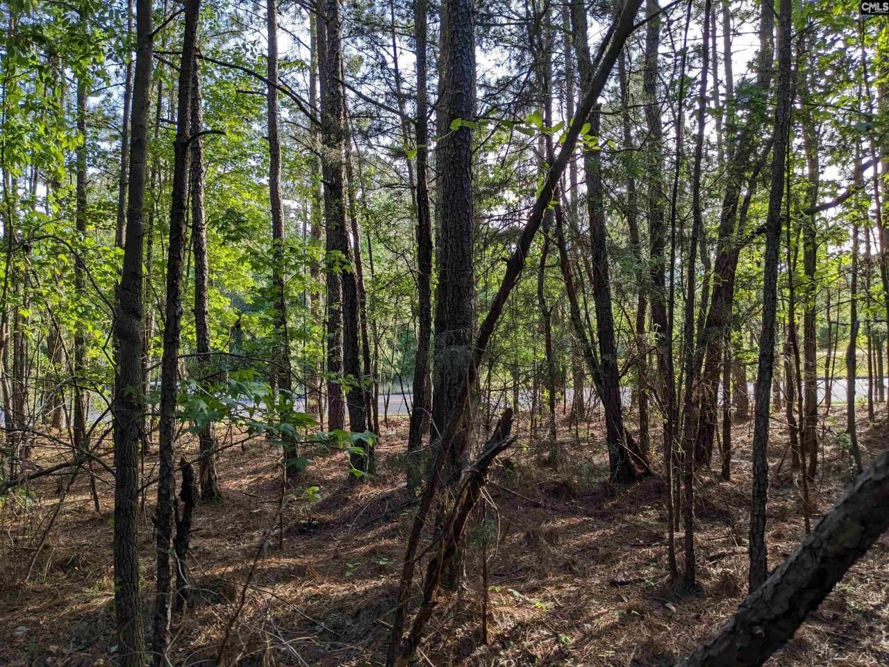 0 Highway 321 Bypass Photo 6