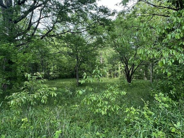 Apache Dr, Starkville, MS 39759