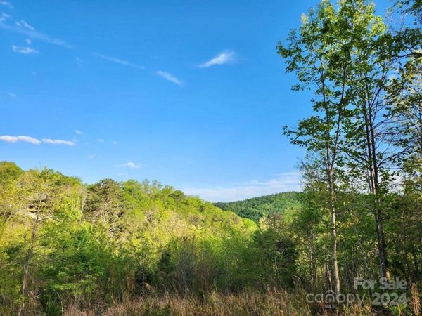 391 Red Fox Trail, Marshall, NC 28753