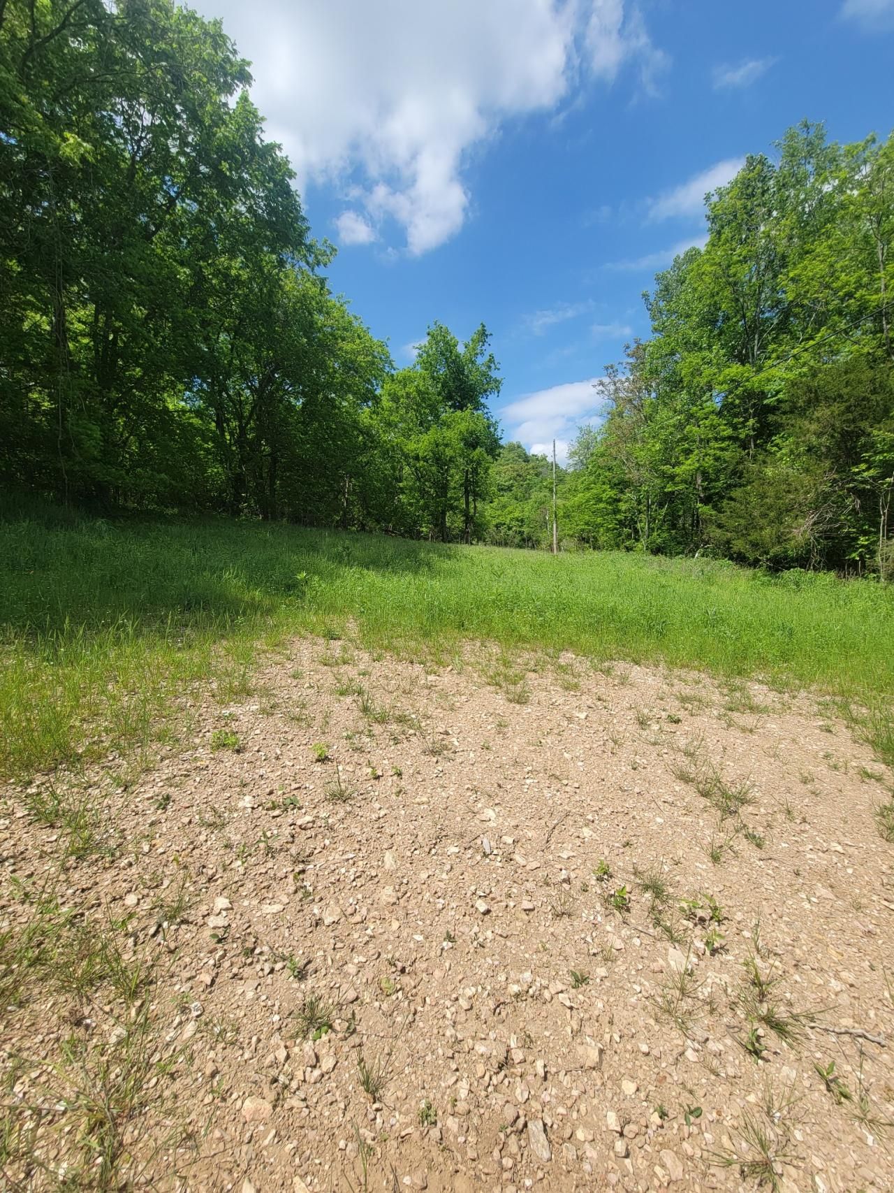 0 Gossburg Road, Lot #1, Beechgrove, TN 37018 Main Photo
