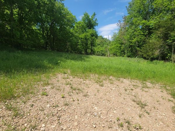 0 Gossburg Road, Beechgrove, TN 37018