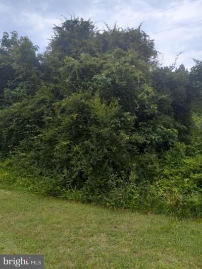 0 Lewis Estates Lane - Lot 5, Spotsylvania, VA 22551 Main Photo