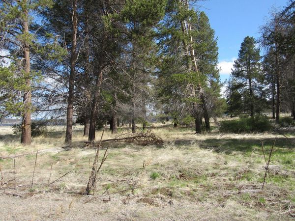 0 Longhorn Loop, Unit 883882, Chiloquin, OR 97624