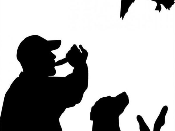 0 Highway 53- Wetland acreage, Campbell, MO 63933