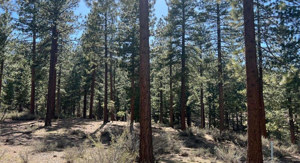 140 Walton Toll Road, Carson City, NV 89705 Photo