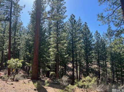 140 Walton Toll Road, Carson City, NV 89705 Photo