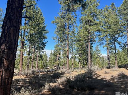 140 Walton Toll Road, Carson City, NV 89705 Photo