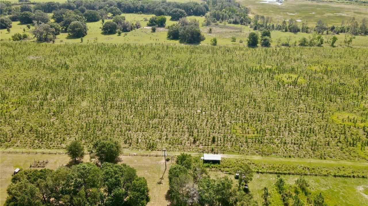 Please Call For Address, Lithia, FL 33547 Photo