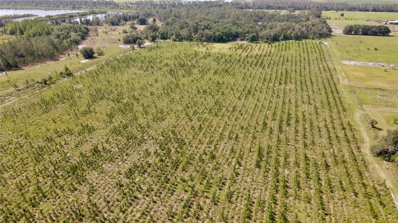 Please Call For Address, Lithia, FL 33547 Photo