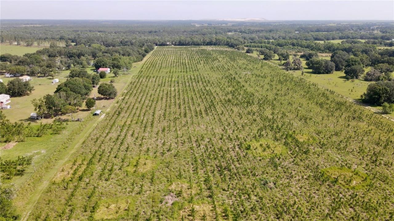 Please Call For Address, Lithia, FL 33547 Photo