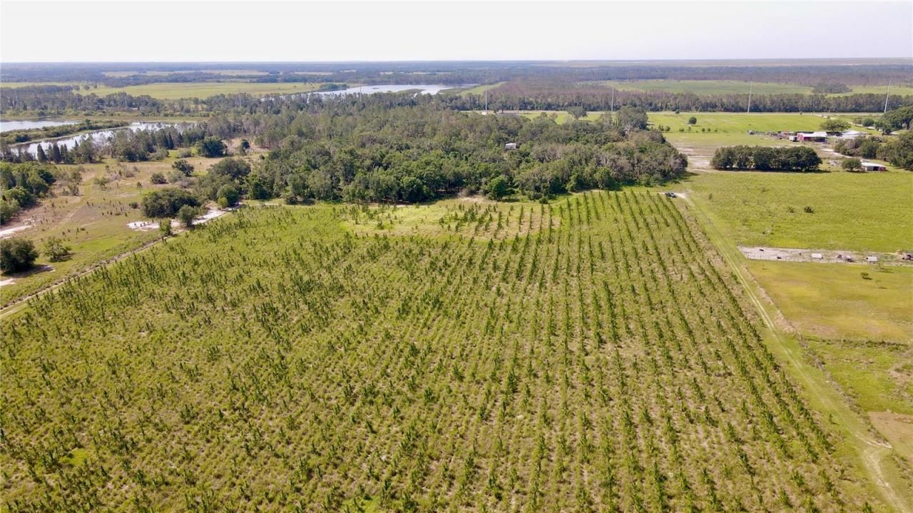 Please Call For Address, Lithia, FL 33547 Photo