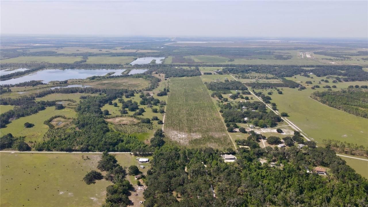 Please Call For Address, Lithia, FL 33547 Photo