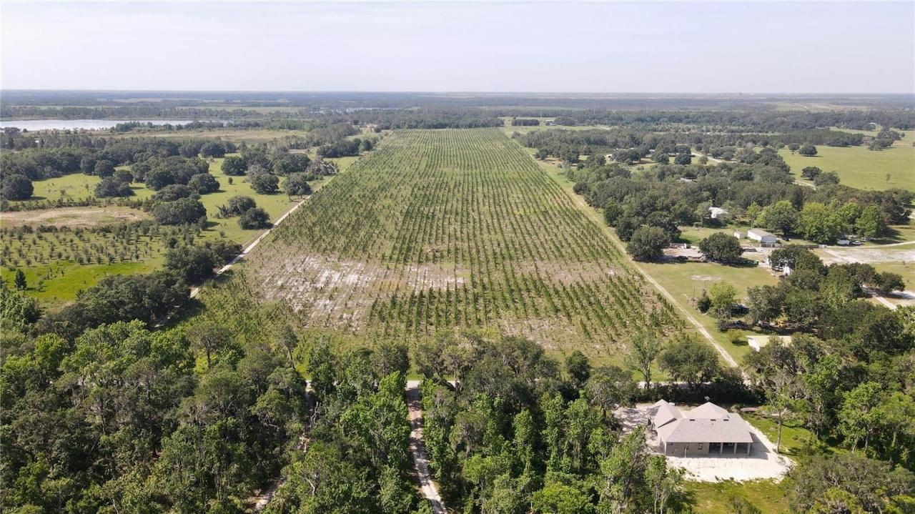 Please Call For Address, Lithia, FL 33547 Photo