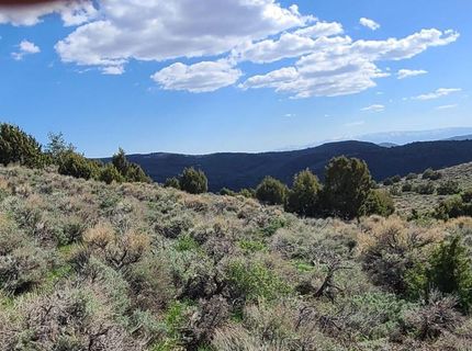 0 Left Hand Canyon Road, Reno, NV 89510 Photo