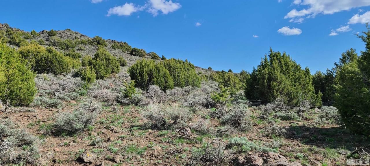 0 Left Hand Canyon Road, Reno, NV 89510 Photo