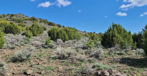 0 Left Hand Canyon Road, Reno, NV 89510 Photo