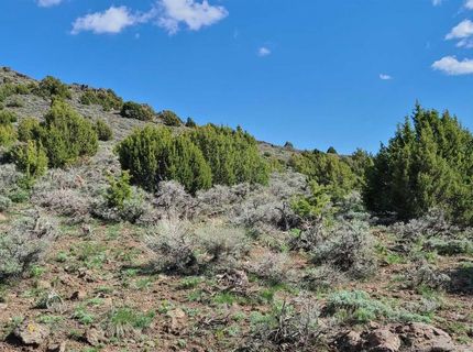 0 Left Hand Canyon Road, Reno, NV 89510 Photo