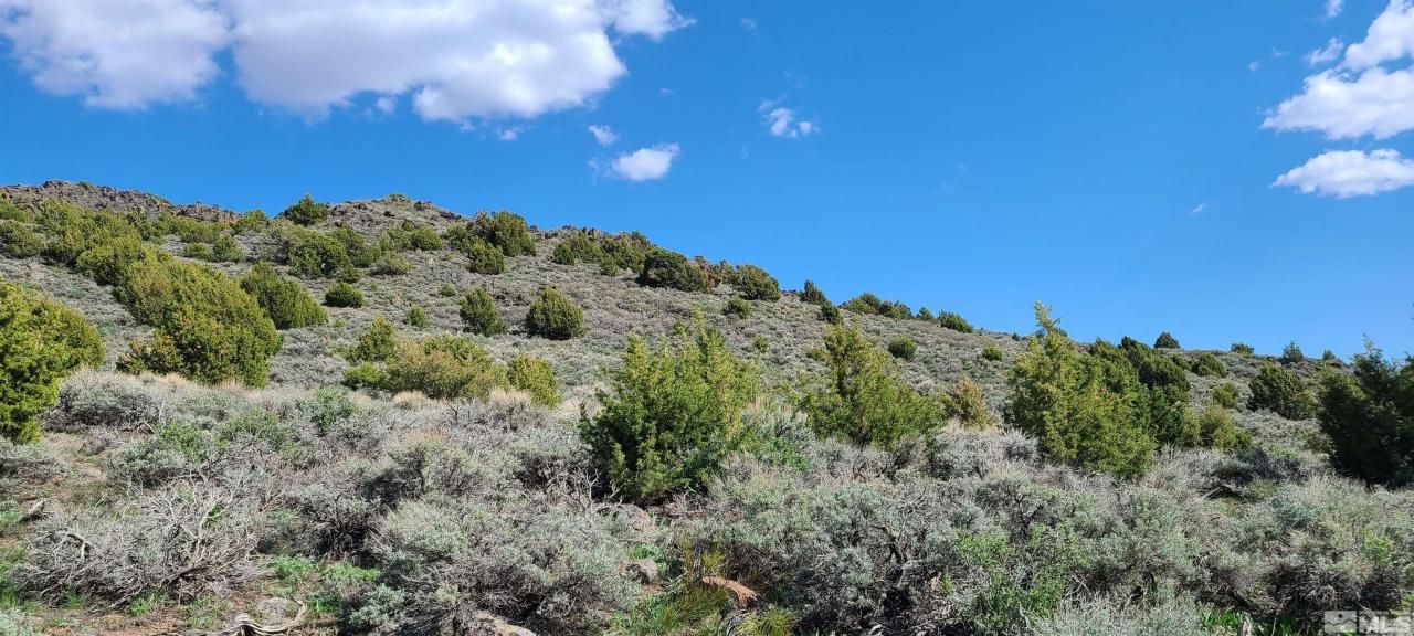 0 Left Hand Canyon Road, Reno, NV 89510 Photo