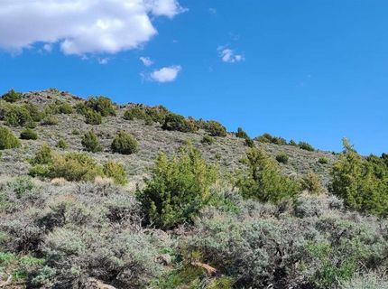 0 Left Hand Canyon Road, Reno, NV 89510 Photo