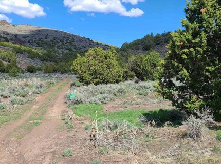 0 Left Hand Canyon Road, Reno, NV 89510 Photo