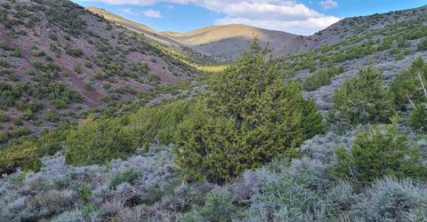 0 Left Hand Canyon Road, Reno, NV 89510 Photo