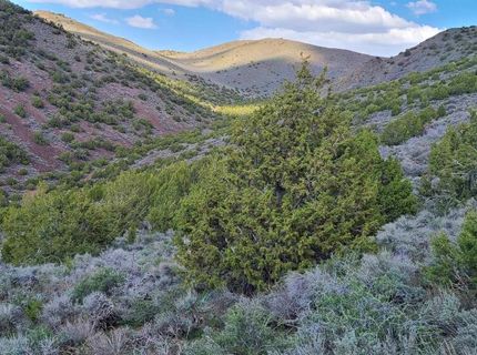 0 Left Hand Canyon Road, Reno, NV 89510 Photo