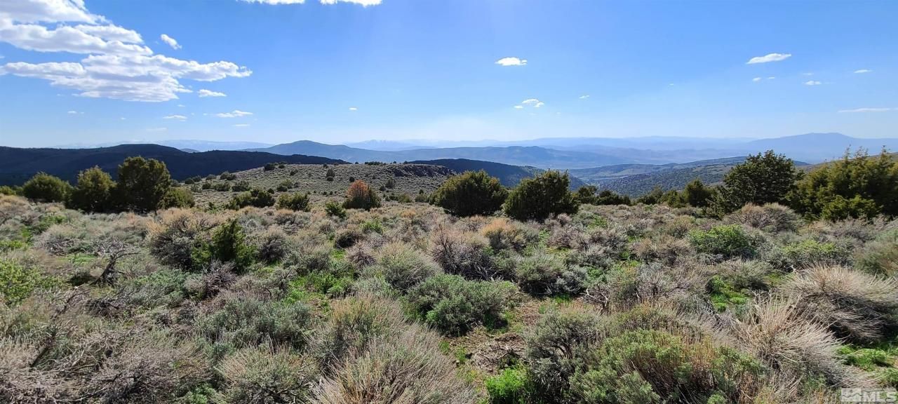 0 Left Hand Canyon Road, Reno, NV 89510 Photo