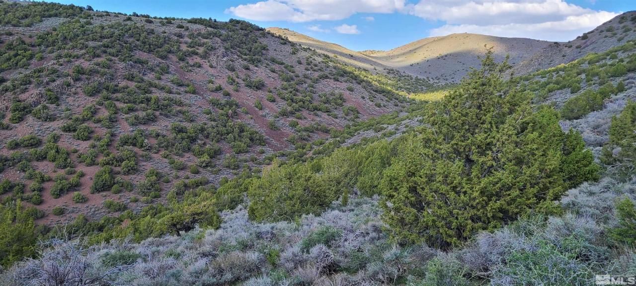 0 Left Hand Canyon Road, Reno, NV 89510 Photo