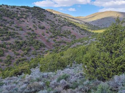 0 Left Hand Canyon Road, Reno, NV 89510 Photo