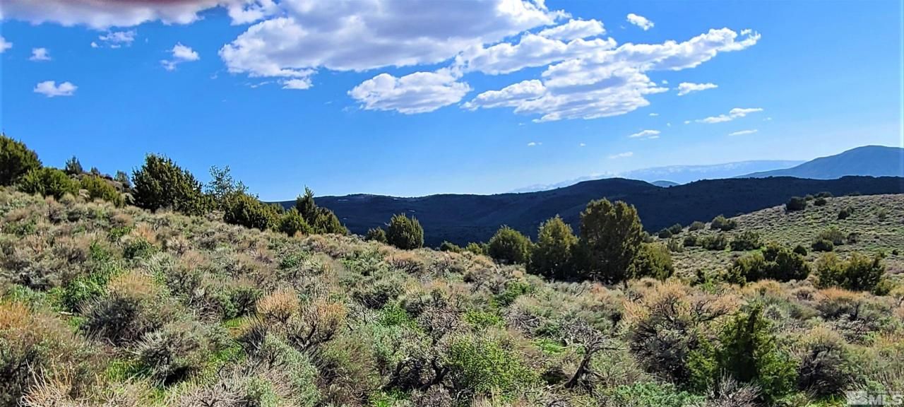0 Left Hand Canyon Road, Reno, NV 89510 Photo