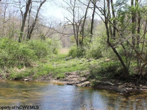 0 S Hazelwood Road, Beverly, WV 26253