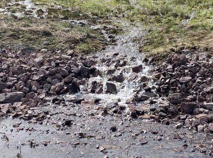 678-790 Highway 36, Westwood, CA 96137 Photo